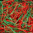 Uptotop 2 LB Crinkle Cut Paper Shred Filler for Gift Wrapping Basket Filling, Birthday, Christmas, Thanksgiving, Wedding, Mother's Day, Red and Green