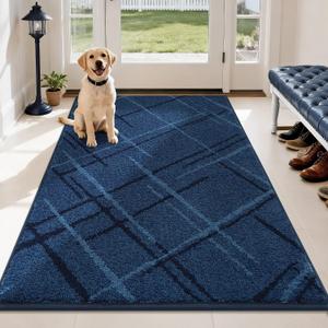 COSY HOMEER Front Door Mat Low Profile Non-Slip Doormat for Entryway, Absorbent Dirt Trapper Washable Entrance Mat, Sturdy Polyester Doormats (60"x36", Blue)
