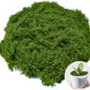 Fake Green Moss 7 oz Decorative Artificial Moss for Crafts Artificial Dark Faux Moss for DIY Table Centerpieces Wedding Party Decor Fairy Garden Floral