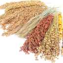 Sprays Set = Wheat + Flax + Yellow Millet + Panicle Millet + Corn Cob + White/Red Sorghum Stems, Pet Habitat Bedding Decor Accessories for Hamsters
