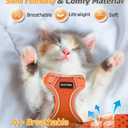 Halypet Cat Harness and Leash Set [MAX Safety 4th-Gen Upgrade] Escape Proof Adjustable Cat Leash Comfortable Soft Vest Easy to Wear Kitten Harness with Reflective Strip for Cats Walking, S Orange