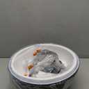 Black Pendant Lights Kitchen Island 2 Pack, 11.8" Farmhouse Dome Pendant Light, Adjustable Height Island Pendant Lights for Dining Room Bedroom