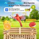 AiQInu Solar Powered Bird Feeder with Camera, 4K QHD Live Video, AI Bird Recognition, Auto Recording, Outdoor Waterproof Bird Watching Camera, Live Stream Bird House for Bird Lovers Gift