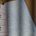 Basics Dog and Puppy Pee Pads, 5Layer LeakProof Super Absorbent, QuickDry Surface, Potty Training, Regular (22x22"), 100 Count, Blue & White