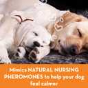 ThunderEase Calming Anti Anxiety Pheromone Collar for Dogs (Large)