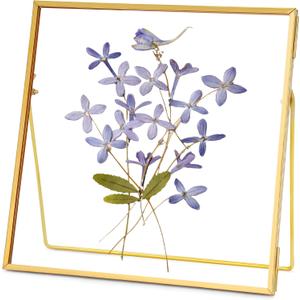 REDHUGO Double Glass Frame for Pressed Flowers Handmade, Tabletop Photo Frame for Floating Picture and Flower Press, Simple, Metal Geometric, Square, Gold, 6x6 Inches