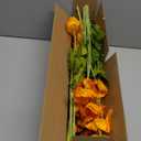 ATFL Orange Poppy Flowers Artificial for Wedding Decorations,12 Pcs Fake Faux Silk Poppies Bulk for Home Decor Table Centerpieces Floral Arrangement(23.5, Orange)