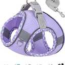 Petank Dog Harness for  Dogs No Pull, Puppy Harness and Leash Set, Step in Dog Harness for Walking, Running, Training, Small Dog Vest(Purple, S)