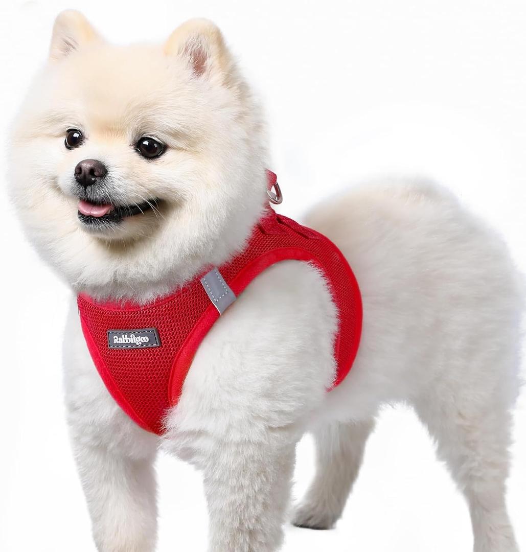 rabbitgoo Small Dog Harness, Step-in Soft Mesh Puppy Vest with Safety Buckle, Breathable Reflective Pet Harness for Small Sized Dogs, Red S (S(Chest:15.1"-16.5"))