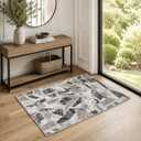 Modern Abstract Entry Rug Kitchen Bedroom Bathroom Door Mat Indoor Entrance 2X3 Front Porch Rugs Washable, Non-Slip Grey Thin Print Small Throw Carpet for Nursery Kids