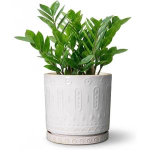 Eightpot 8 Inch Plant Pot, Ceramic Planter for Indoor Plants Outdoor, Round Planter with Drainage Hole and Tray, Boho Flower Pot, Decorative Pots for Plants, Home Decor, Plant Lover Gifts, White