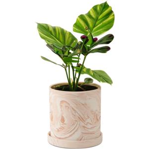 4 inch Plant Pot - Terra Cotta Flower Planters Indoor - Modern Succulents Containers with Drain Hole & Saucer, Decorate Home, Office (Pink)