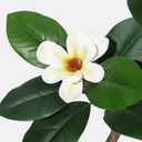 Rubber Tree 6 ft Artificial Tree in White Planter Pot, Faux Plants Indoor Faux Floor Plant Artificial Plants with 7 Pcs Magnolia Flowers for Home Decor, Artificial Fiddle Leaf Fig Tree for Office