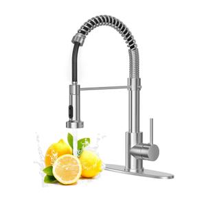 Brushed Nickel Kitchen Faucet with Pull Down Sprayer, Stainless Steel Spring Commercial Kitchen Sink Faucet with 10-Inch Deck,1 or 3 Hole Installation for Farmhouse, RV Camper, Laundry & Utility Sink
Amazon's Choice