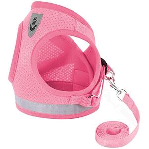Cat Harnesses and Puppy Harness with Leashes Set, Escape Proof Cat Harness, Adjustable Reflective Soft Mesh Vest Fit Puppy Kitten Rabbit Ferrets's Outdoor Harness, M (Chest: 12" - 14")