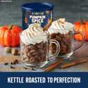 2 x PLANTERS Fall Edition Pumpkin Spice Almonds, Pumpkin Spice Snacks, Cooking & Baking Nuts & Seeds, Flavored Almonds, Seasonal Nuts, Fall Party Snacks, Plant-Based Protein, 15.25 oz Canister (EXP 06/14/25)