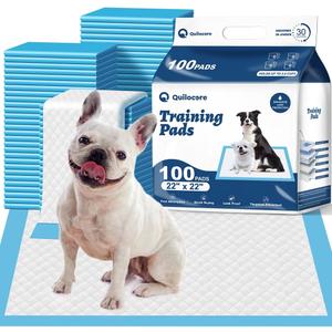 Basics LeakProof Dog and Puppy Potty Training Pee Pads with QuickDry 5Layer Super Absorbent Design, Regular Size 22 x 22 inch, Blue & White, 100 Count