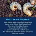 BioAdvanced Season-Long Grub Control Plus Turf Revitalizer, Granules, 12 lb, Grub Killer for Lawns