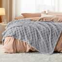 Bedsure GentleSoft Twin Blanket for Bed Silver Grey - Super Soft Cozy Blankets for Kids Girls, Cute Fuzzy Fleece Throws for Bedroom Couch, 60x80 Inches