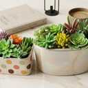 DECOROUS Artificial Succulent Plants - 16 Pack - Mini Faux Succulents - Small Unpotted Fake Succulent Set for Home and Office Dcor - Realistic Succulents Plants Artificial Picks for Indoor and Oudoor