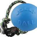Jolly Pets Romp-n-Roll Rope and Ball Dog Toy, 6 Inches/Medium, Blueberry, Model Number: 606 BB, All Breed Sizes