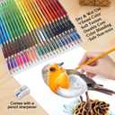LBW Professional Watercolor Pencils for Adult Coloring Books, 72 Blendable Watecolor Pencils Set for Artists Beginners, Water Soluble Colored Pencils Wet or Dry