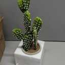 DILATATA 13' Small Fake Cactus Plant Potted 'Prickly Pear Cactus' Faux Cacti for Home Garden Office Decor Housewarming Gifts