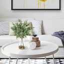 Briful 14.2" Artificial Eucalyptus Stem in Glass Vase with Faux Water  Small Fake Plant with Decorative Stones  Eucalyptus Leaves Artificial White Seeds Decor for Indoor Tabletop Shelf Office