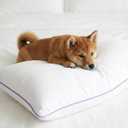 King Size Pillows Set of 1 Bed Pillows for Sleeping, Down Alternative Pillows, Soft Yet Supportive, Maintains Loft, Hotel Quality, Machine Washable