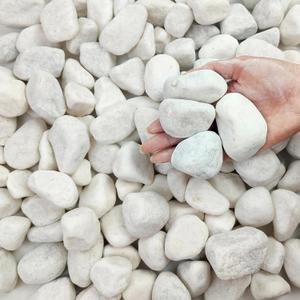 FANTIAN 5 lbs White Matte Rocks for Plants, 2-3 Inch Large Pebbles for Indoor Plants, Decorative River Stones for Succulent, Landscaping, Vases, Crafting and Garden