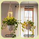 Hanging Plant Grow Lights for Indoor Plants with Timer, Wall Mounted Full Spectrum Pendant Growing Light with Macrame Plant Hanger, Ceiling LED Planta Luz for Potted Plants Home Decor