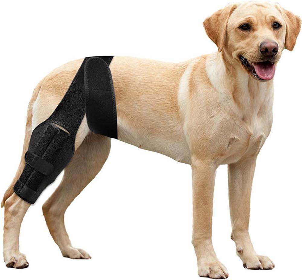 Dog ACL Brace Hind Leg, Dog Knee Brace for Front Torn and Back Hind Rear Leg ACL Tear,Hip Dysplasia, Dog Arthritis and Luxating Patella, Adjustable and Comfortable (Large)