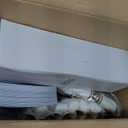 WELLIFE 350-Piece Gold Disposable Plates and Cutlery Set - Premium 10.25" Dinner Plates, 7.5" Dessert Plates, 9oz Cups & Cutlery for Weddings, Catering Events - 50 Guest Service - Elegant & Sturdy