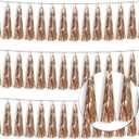 3P Metallic Fringe Tassel Banner Garland Foil Tinsel Streamer Wall Hanging Curtain Backdrop Banner for Parade Floats, Graduation Decorations, Wedding Party Decoration(Champagne Gold)