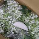 HyeFlora 35 PCS Artificial Red Roses with 15 PCS Fake Baby Breath Realistic Fake Flowers Bouquet with Long Stem for DIY Wedding Party Home Decoration Vase Tables Centerpieces Arrangements Gift for Her