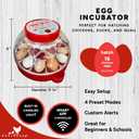 RENTACOOP Egg Incubator for 16 Eggs