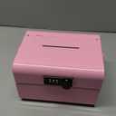 Mini Safebox with Lock - Money Safe and Cash Lock Box for Kids, Small Metal Security Safe for Cash, Jewelry and Valuables, Portable Storage Organizer (Pink)