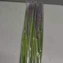24'' Tall Faux Lily Turf (Liriope Muscari), Realistic Ornamental Grass with Small Violet-Purple Flowers (6 Pack)