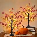2 Pack Fall Decor 24 Inch Artificial Fall Table Tree Lighted EucalyptusTree with 24 LED Light Timer Fall Table Decor for Autumn Thanksgiving Wedding Party Harvest Home Indoor Outdoor