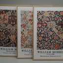 Framed Vintage William Morris Canvas Wall Art Set of 3, Large Retro Floral Artwork Prints, Rustic Farmhouse Botanical Aesthetic Wall Decor for Living Room, Bedroom, Hallway, Office, Total Size 30x60