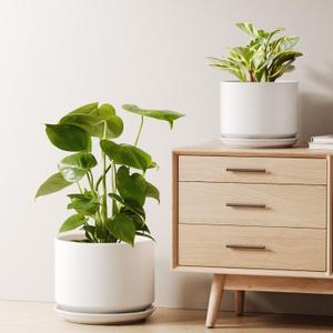 LE TAUCI Ceramic Pots for Plants, Set of 1, 10 Inch Plant Pot for Home Decor, Plant Pots Indoor with Saucer and Drainage Hole, Stylish and Durable Planter, Thoughtful Gift, White