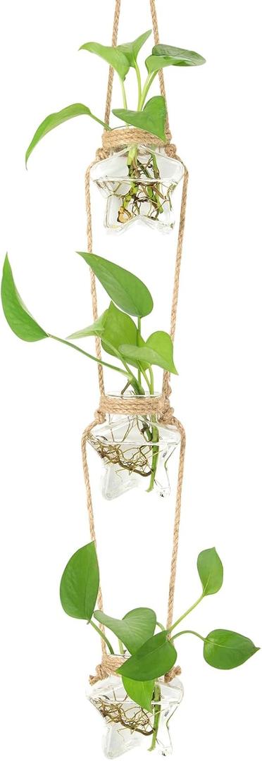 XXXFLOWER Wall Hanging Propagation Station3 Tired Star Shaped Glass Flower Vase for Hydroponic Planter Terrarium for Plant Cutting Home Office Living Room Garden Decor