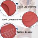 ANLIQI Women's Modal Underwear Tummy Control Hipster Panties Pack Full Coverage Briefs Soft Breathable Stretch Striped Undie (XXL)