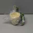 Dinosaur Pen Holder for Desk, Pencil Holder, Cute Fashion Desk Organizers and Accessories, Office Supplies Idea Gift for Women and Kids (Green)