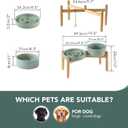 Havniva 3.2 Cup Ceramic Raised Slow Feeder Dog Bowl Set, Elevated 8.2inch Bowl and 9.5inch Puzzle Slow Food Dish with Wooden Stand for Large Dog, Anti-Gulping (2 x Light Green+ Stand)