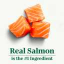 Nutro Wholesome Essentials Dry Cat Food, Adult Cat Food Dry Salmon & Brown Rice Recipe, 3 lb. Bag (3 Pound (Pack of 1))