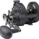 Penn Fathom II Star Drag Conventional Fishing Reel, Black Gold, 25N