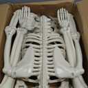 CAMIRUS 2PACK 36" Skeleton Halloween Decorations, 3ft Life Full Size Skeleton with Realistic Posable Movable Joints for Halloween Haunted Houses, Lawn, Graveyard