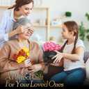 16 Preserved Flowers Rose Birthday Gifts for Women Her Mom Wife Girlfriend Grandma on Valentines Mothers Day Christmas Anniversary Romantic(Pink)