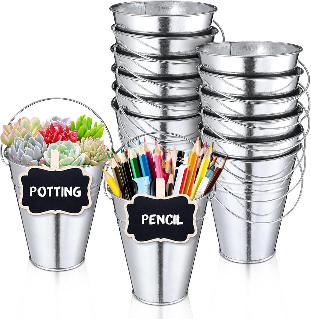 12PCS Small Galvanized Metal Buckets with Handle 12Chalkboard Clips, 5 x 4.5X 2.5 Inch Mini Metal Buckets Bulk Mini Pail Ice for Party Crafts Favors Plant Flower Sand Candy